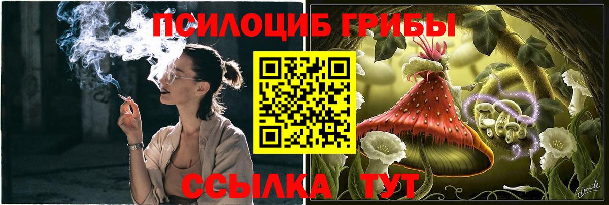 Галлюциногенные грибы Psilocybe  Вход с VPN  Галлюциногенные грибы прущие грибы  Чистополь 