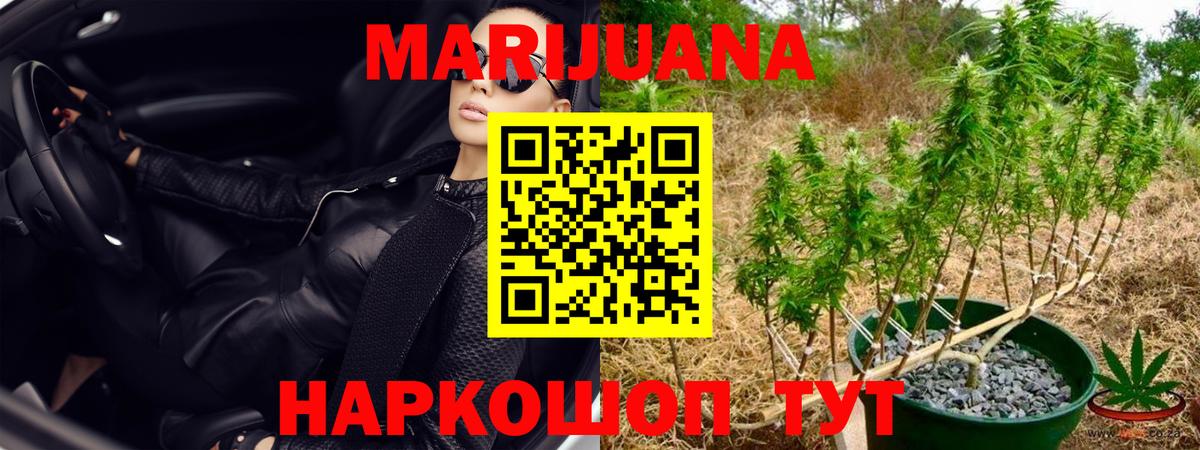 Каннабис конопля Чистополь