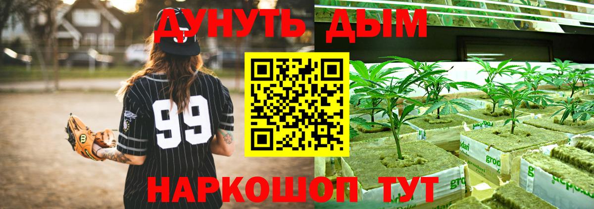 Чистополь  МАРИХУАНА гибрид  Вход с VPN  Каннабис индика 